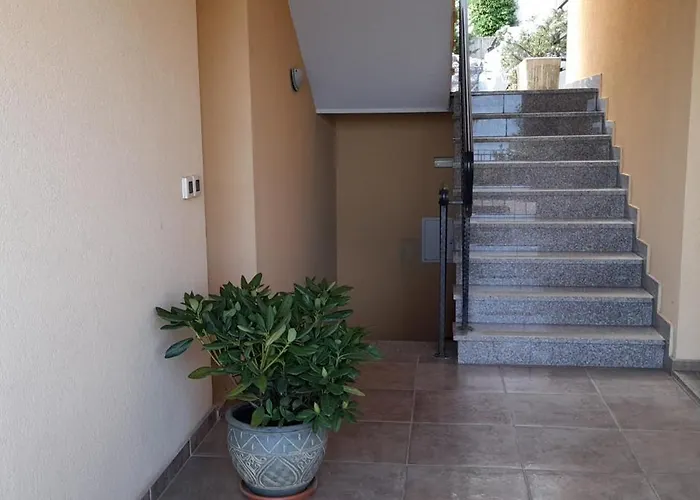 Apartament No. 1
